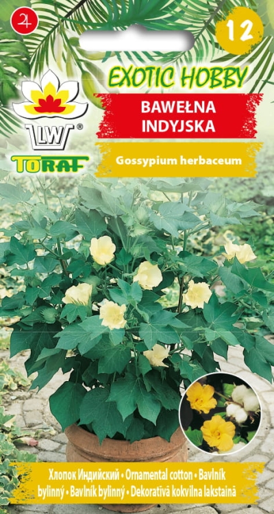 bawelna-indyjska-nasiona.jpg