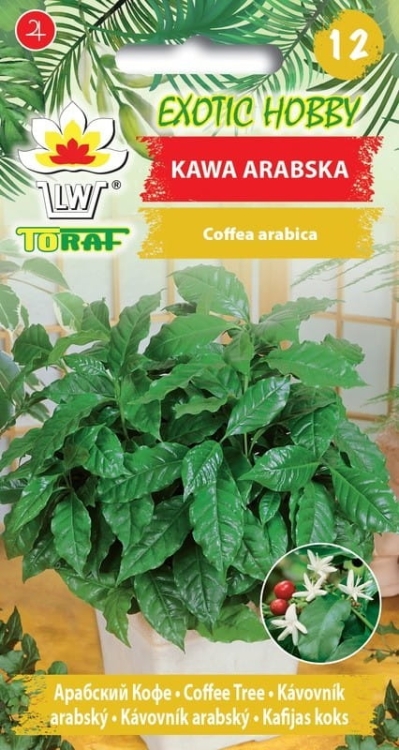 kawa-arabska-nasiona.jpg
