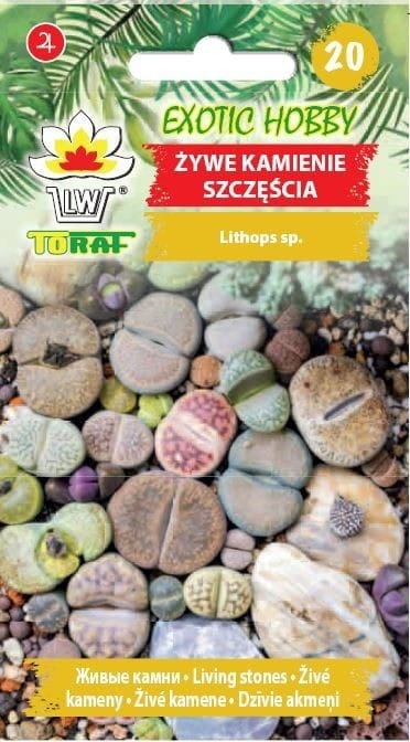 zywe-kamienie-szczescia-nasiona.jpg