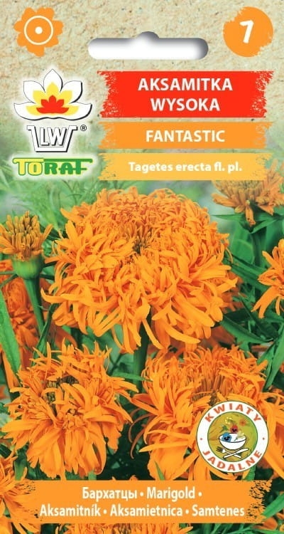 aksamitka-fantastic-nasiona-kwiatow.jpg