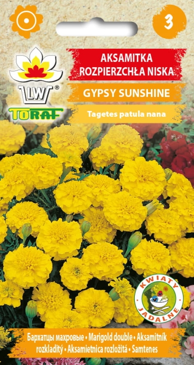 aksamitka-gypsy-sunshine-nasiona.jpg