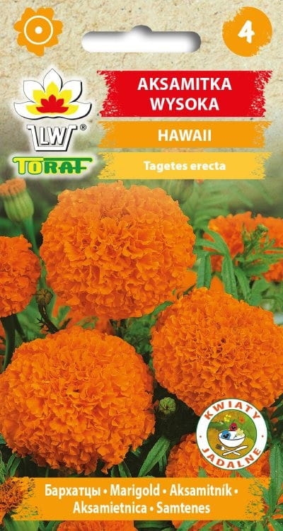aksamitka-hawaii-nasiona.jpg