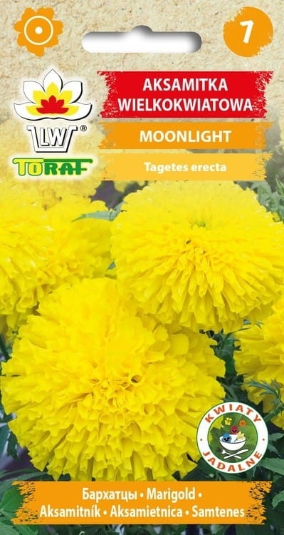 aksamitka-moonlight-zolta-nasiona.jpg