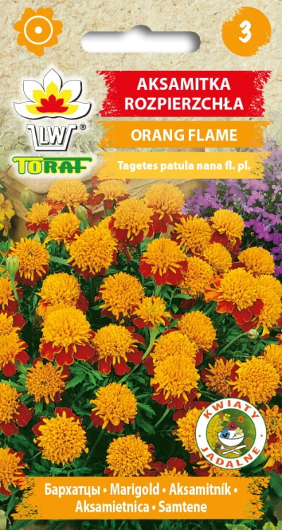 aksamitka-orange-flame-nasiona.jpg