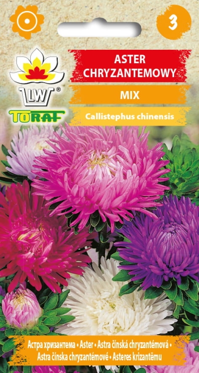 aster-chryzantemowy-mieszanka-nasiona.jpg