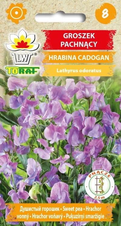 groszek-pachnacy-hrabina-cadogan-nasiona.jpg