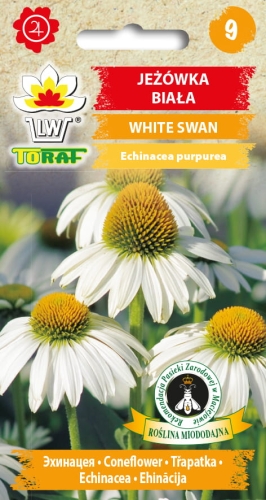 jezowka-white-swan-nasiona.jpg