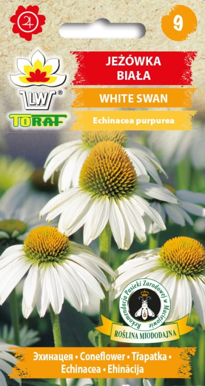 jezowka-white-swan-nasiona.jpg