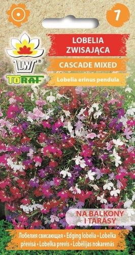 lobelia-zwisajaca-mieszanka-cascade-nasiona.jpg