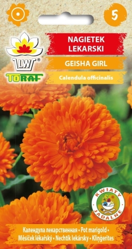 nagietek-lekarski-geisha-girl-nasiona.jpg