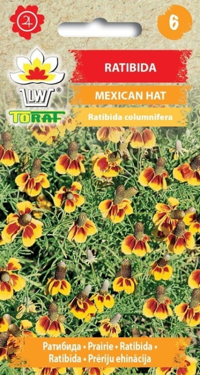 ratibida-mexican-hat-nasiona.jpg