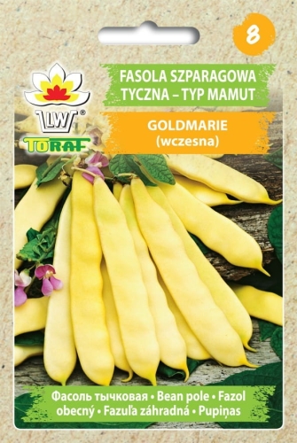 fasola-mamut-goldmarie-nasiona.jpg