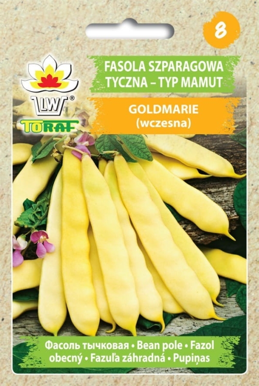 fasola-mamut-goldmarie-nasiona.jpg