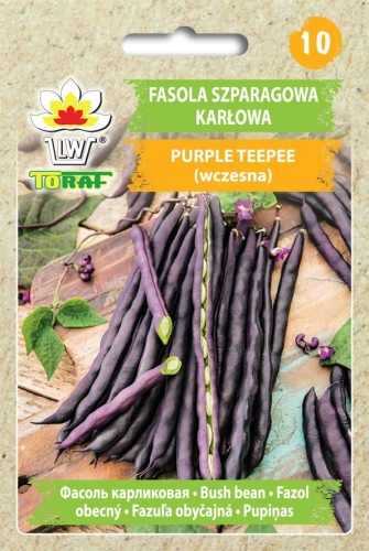 fasola-karlowa-purple-teepee-nasiona.jpg