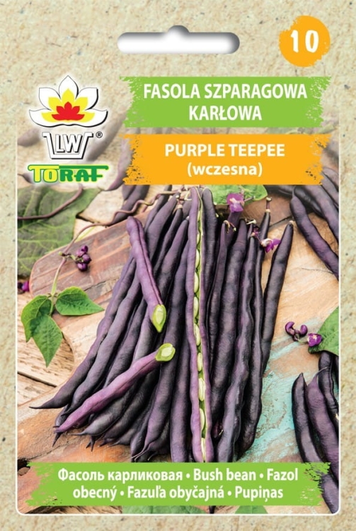 fasola-karlowa-purple-teepee-nasiona.jpg
