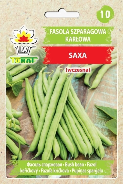 fasola-karlowa-saxa-nasiona.jpg