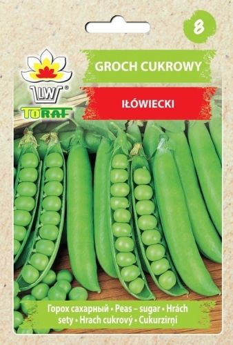 groch-cukrowy-ilowiecki-nasiona.jpg