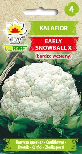 kalafior-bardzo-wczesny-early-snowball-nasiona.jpg