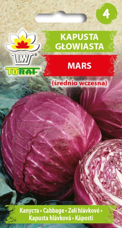 kapusta-glowiasta-mars-nasiona.jpg