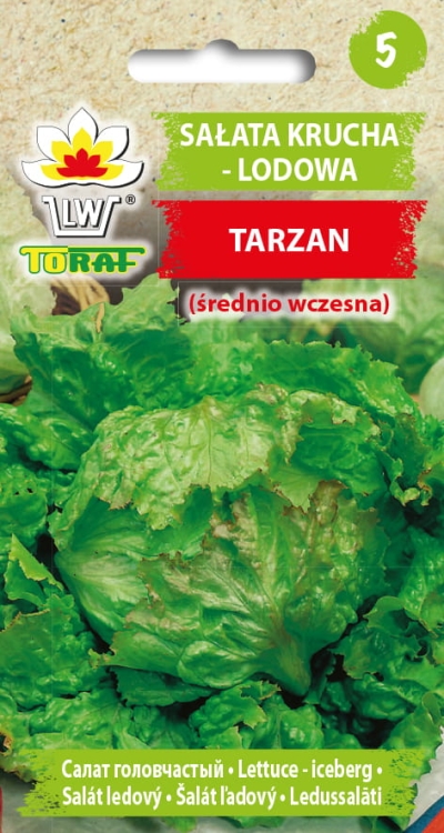 salata-krucha-lodowa-tarzan-nasiona.jpg