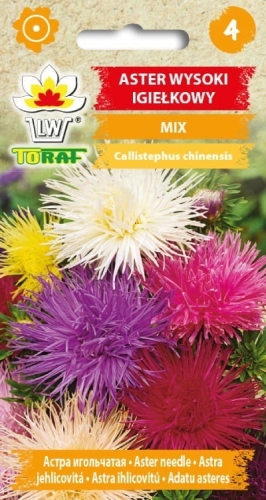 aster-igielkowy-mieszanka-nasiona.jpg