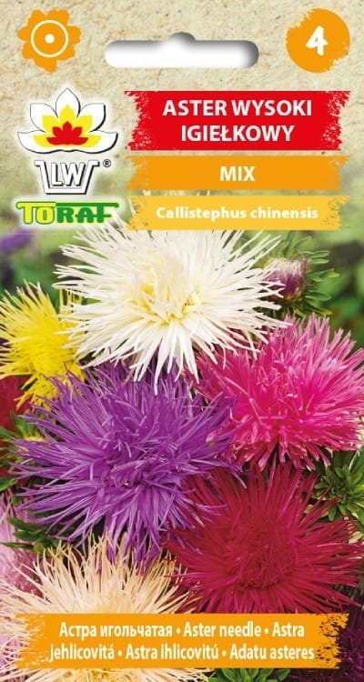 aster-igielkowy-mieszanka-nasiona.jpg