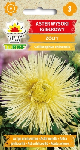 aster-igielkowy-zolty-nasiona.jpg