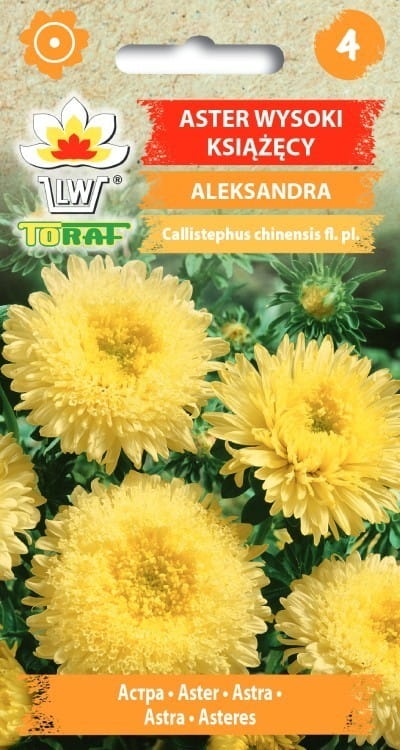 aster-ksiazecy-aleksandra-nasiona.jpg