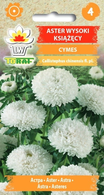 aster-ksiazecy-cymes-nasiona.jpg