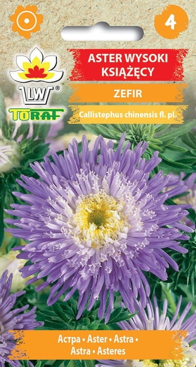 aster-ksiazecy-zefir-nasiona.jpg