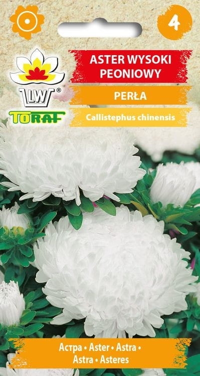 aster-peoniowy-perla-nasiona.jpg