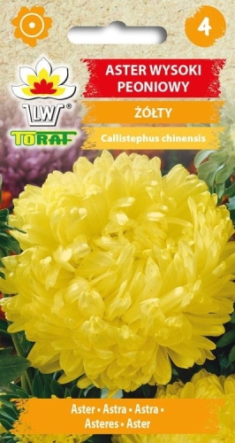 aster-peoniowy-zolty-nasiona.jpg