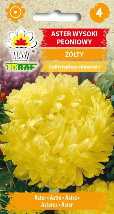 aster-peoniowy-zolty-nasiona.jpg