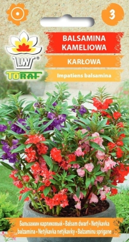 balsamina-kameliowa-karlowa-nasiona.jpg