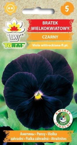 bratek-wielkokwiatowy-czarny-nasiona.jpg