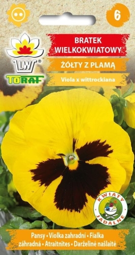 bratek-wielkokwiatowy-zolto-czarny-nasiona.jpg