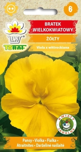 bratek-wielkokwiatowy-zolty.jpg