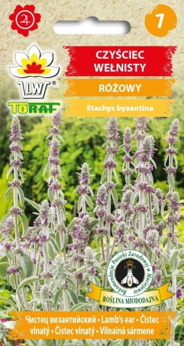 czysciec-welnisty-nasiona.jpg