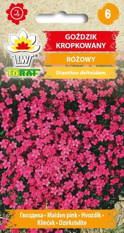 gozdzik-kropkowany-nasiona.jpg