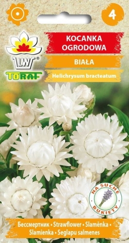 kocanka-biala-nasiona.jpg
