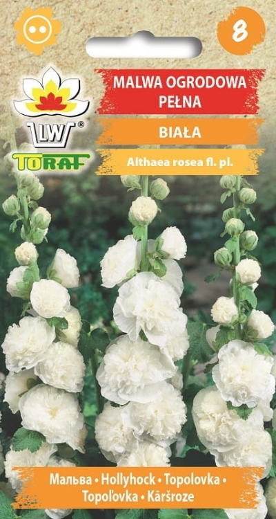 malwa-ogrodowa-pelna-biala-nasiona.jpg