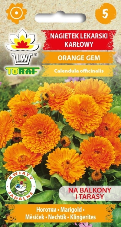 nagietek-lekarski-karlowy-orange-gem-nasiona.jpg