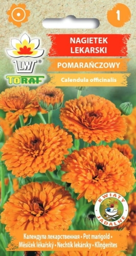 nagietek-lekarski-pomaranczowy-nasiona.jpg