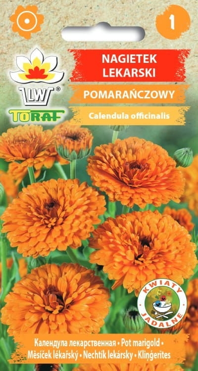 nagietek-lekarski-pomaranczowy-nasiona.jpg