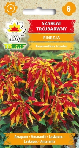 szarlat-trojbarwny-finezja-nasiona.jpg