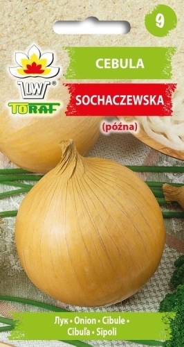 cebula-sochaczewska-nasiona.jpg