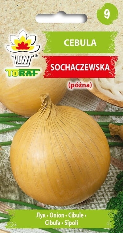 cebula-sochaczewska-nasiona.jpg