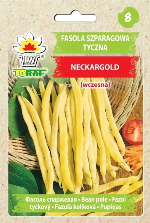 fasola-tyczna-neckargold-nasiona.jpg