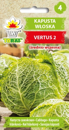 kapusta-wloska-vertus-nasiona.jpg