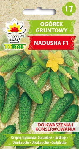 ogorek-nadusha-nasiona.jpg